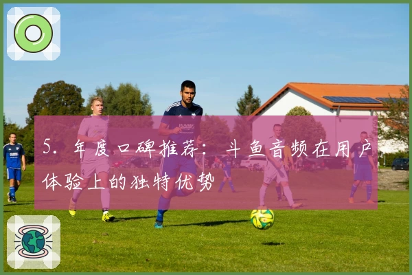 5. 年度口碑推荐：斗鱼音频在用户体验上的独特优势