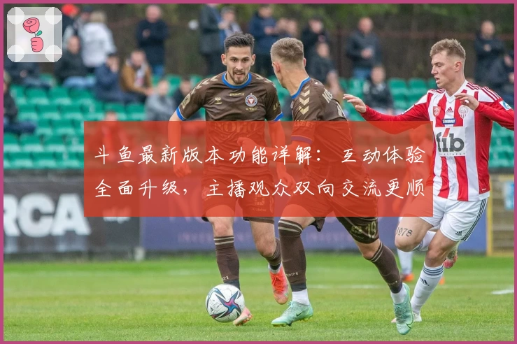 斗鱼最新版本功能详解：互动体验全面升级，主播观众双向交流更顺畅