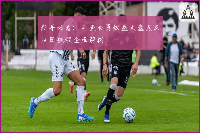 新手必看：斗鱼会员权益大盘点及注册教程全面解析