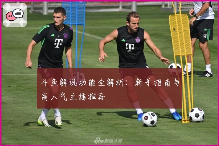 斗鱼解说功能全解析：新手指南与高人气主播推荐