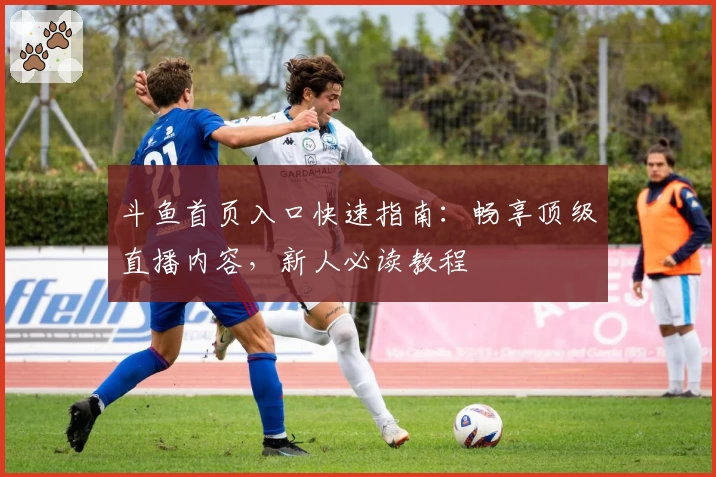 斗鱼首页入口快速指南:畅享顶级直播内容,新人必读教程