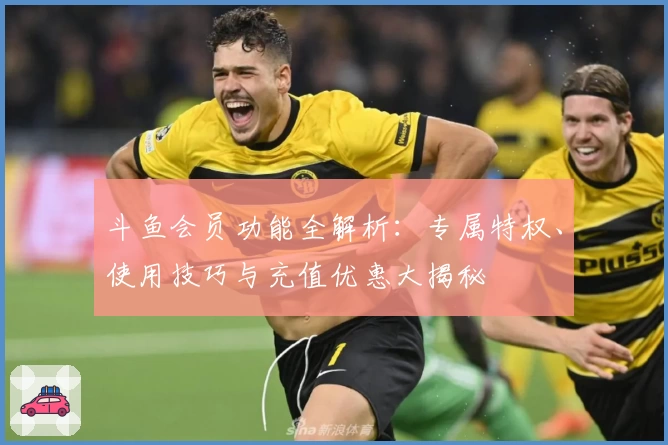 斗鱼会员功能全解析：专属特权、使用技巧与充值优惠大揭秘