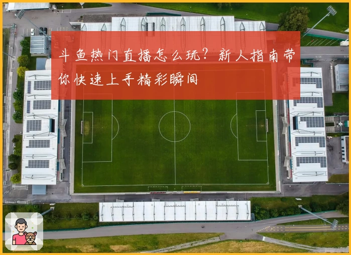 斗鱼热门直播怎么玩？新人指南带你快速上手精彩瞬间