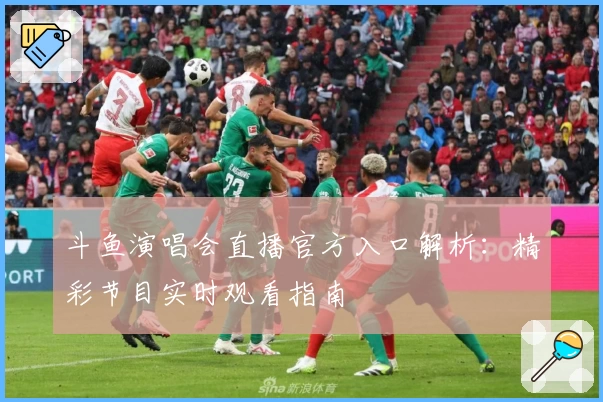 斗鱼演唱会直播官方入口解析：精彩节目实时观看指南