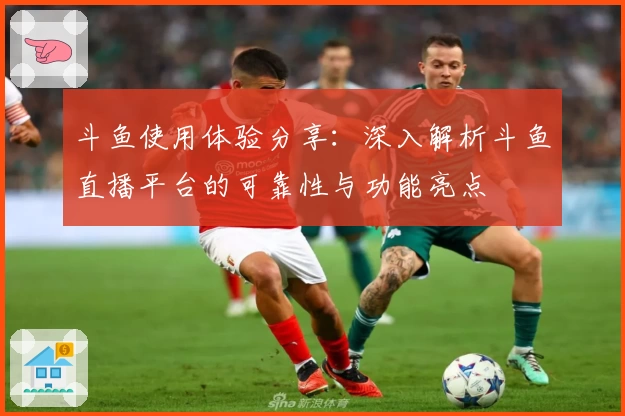 斗鱼使用体验分享：深入解析斗鱼直播平台的可靠性与功能亮点