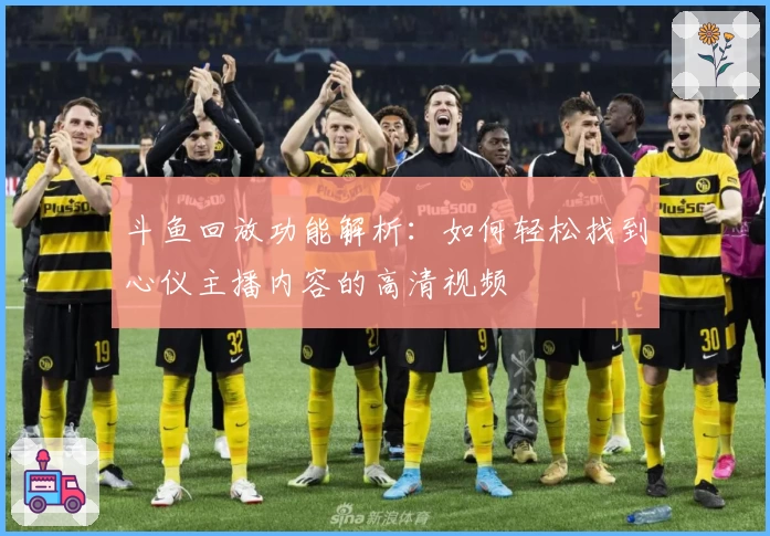 斗鱼回放功能解析：如何轻松找到心仪主播内容的高清视频