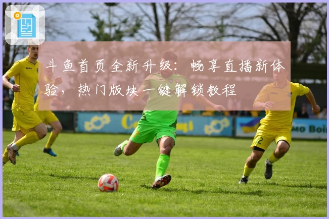 斗鱼首页全新升级：畅享直播新体验，热门版块一键解锁教程