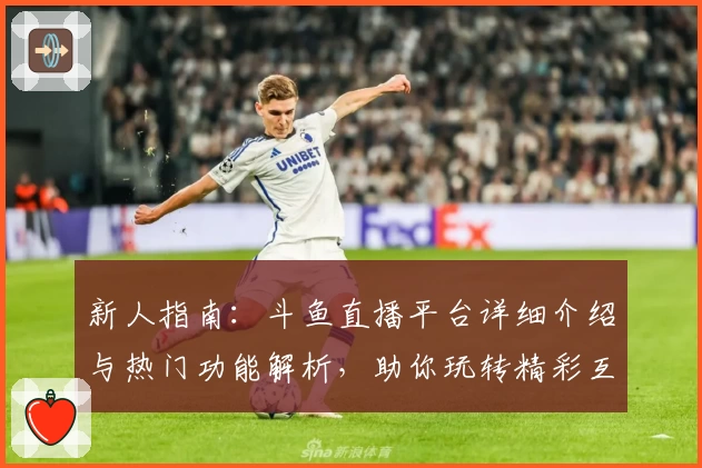 新人指南：斗鱼直播平台详细介绍与热门功能解析，助你玩转精彩互动社区