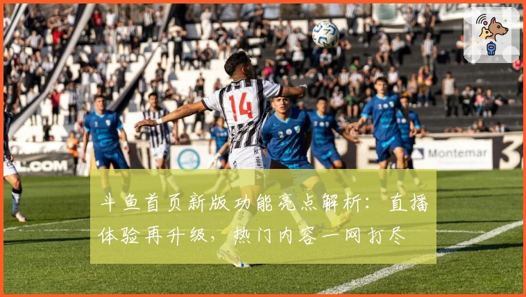 斗鱼首页新版功能亮点解析：直播体验再升级，热门内容一网打尽