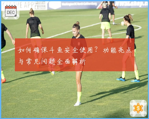 如何确保斗鱼安全使用？功能亮点与常见问题全面解析