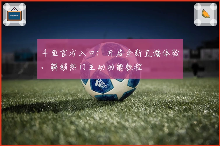 斗鱼官方入口：开启全新直播体验，解锁热门互动功能教程