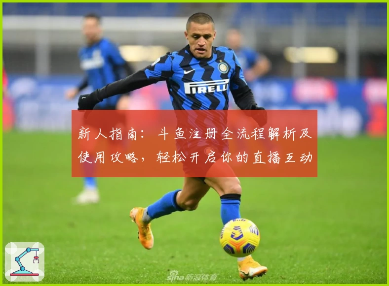 新人指南：斗鱼注册全流程解析及使用攻略，轻松开启你的直播互动之旅
